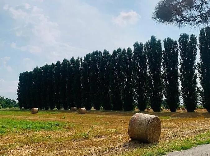 Tra E Citta *