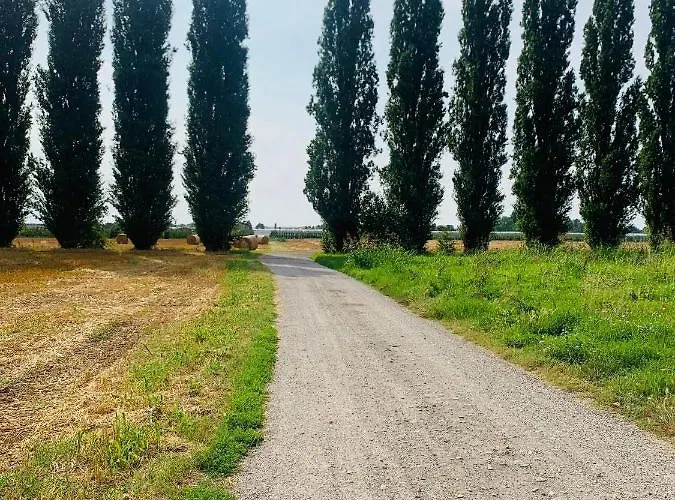 Tra E Citta *