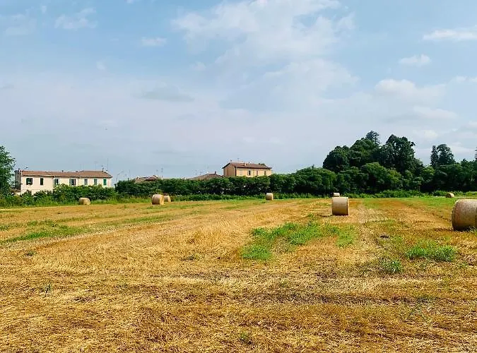 Tra E Citta شقة بولونيا