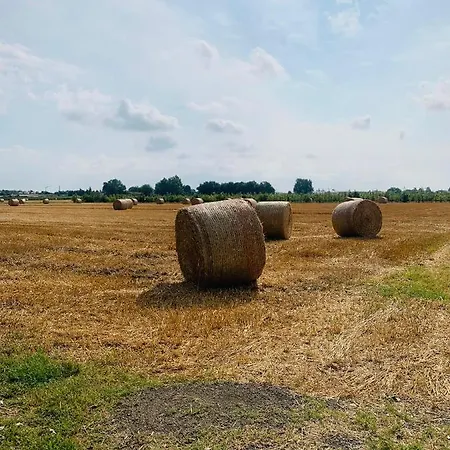 Tra E Citta 아파트