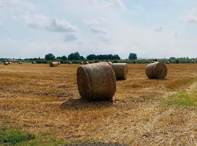 Tra E Citta Διαμέρισμα