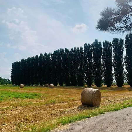 Tra E Citta *