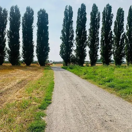 Tra E Citta *